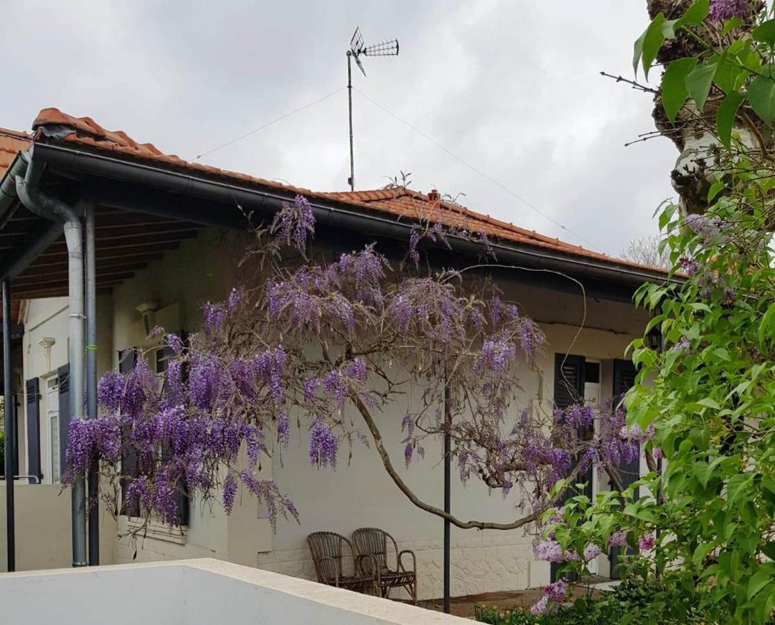 La maison d Irma à plage à 700 m - Bed and Breakfast Lanton