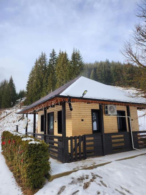Cozy house Elena - Ferienwohnung Drăgoiasa