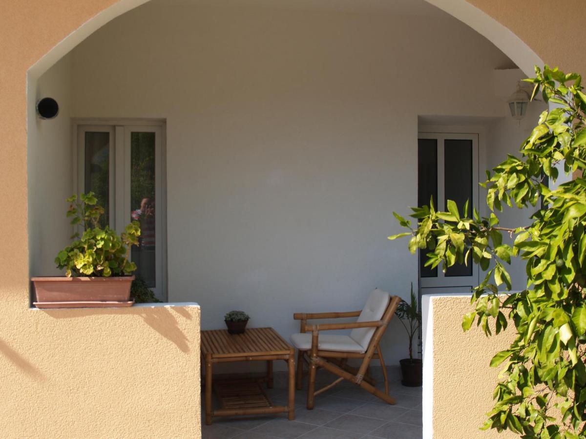 Apartment - Erdgeschoss