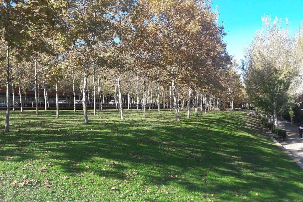 House in Sant Cugat, 25 Mins to Barcelona center - B&B Sant Cugat del Vallès