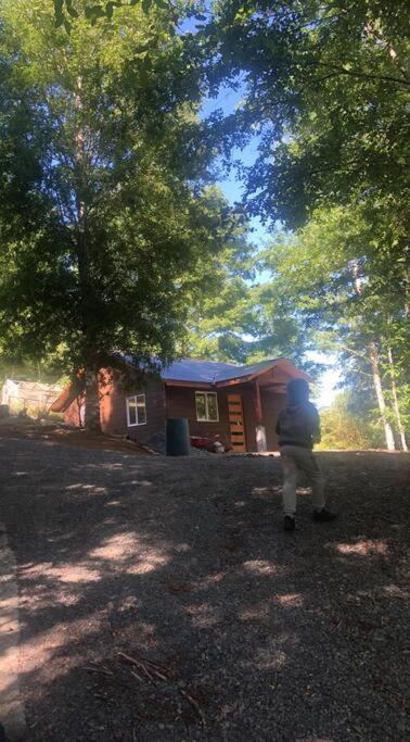 Cabaña Antü Lihuén Caburgua - B&B Pucón