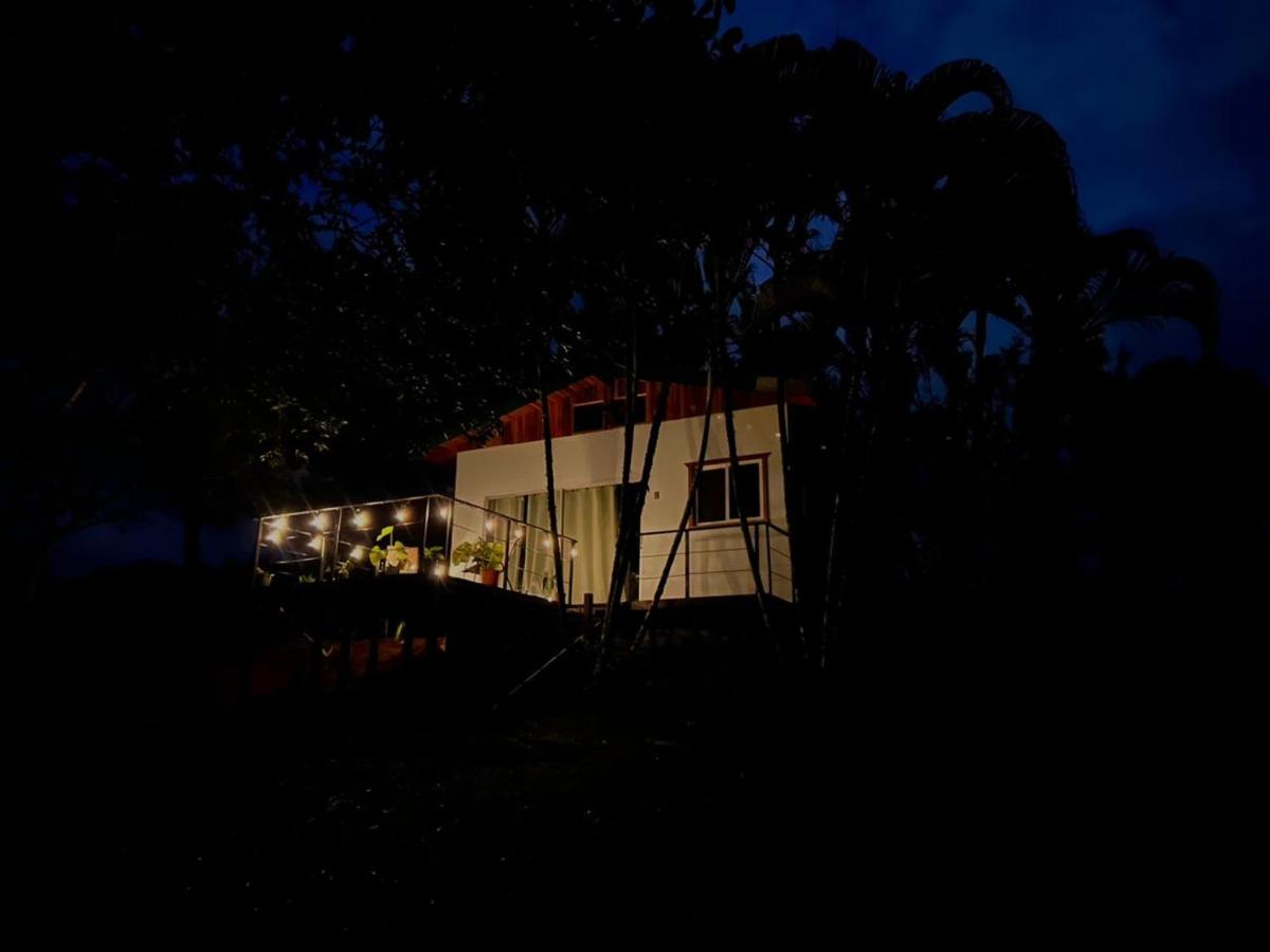 Ficus house - Ferienwohnung Boca Tapada