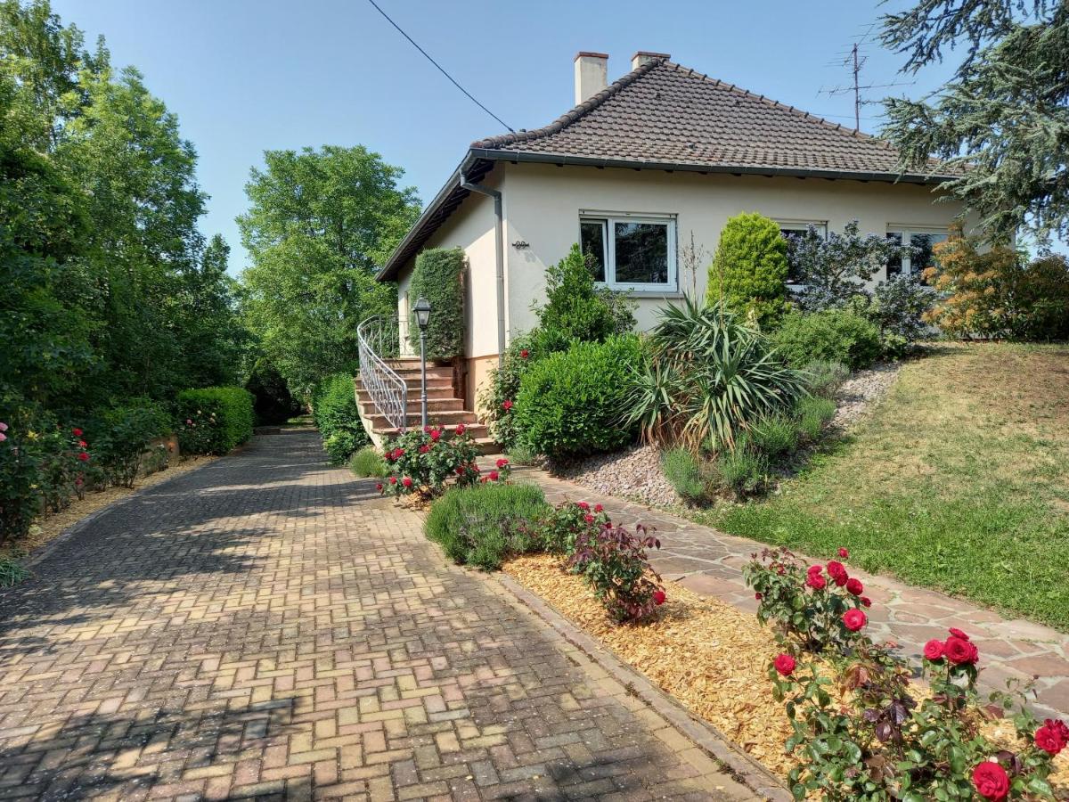 Maison proche du centre de Colmar - Chez Michel - Chambres d’hôtes Horbourg-Wihr