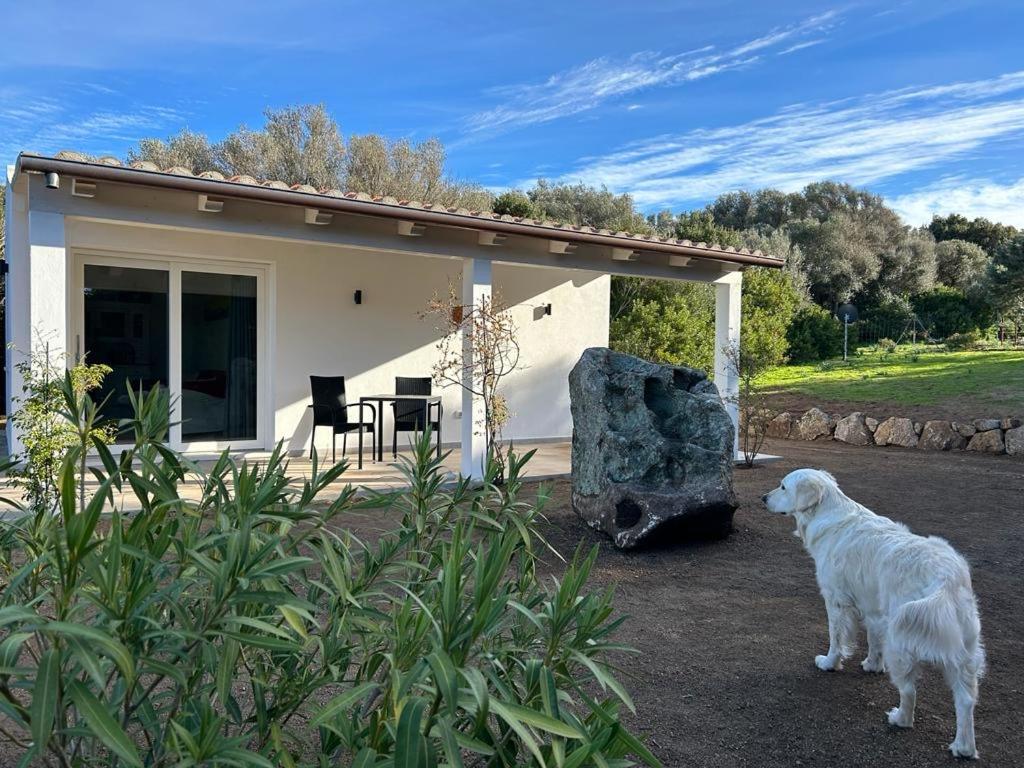 LA PIANA Holiday House - B&B Bassacutena