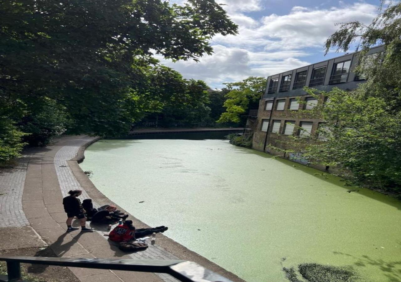 Special Flat in Camden Town - Bed and Breakfast Londen