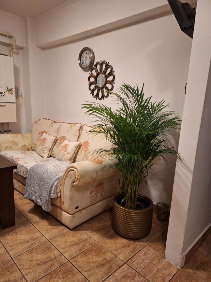 B&B Râmnicu Vâlcea - Apartament Florina - Bed and Breakfast Râmnicu Vâlcea