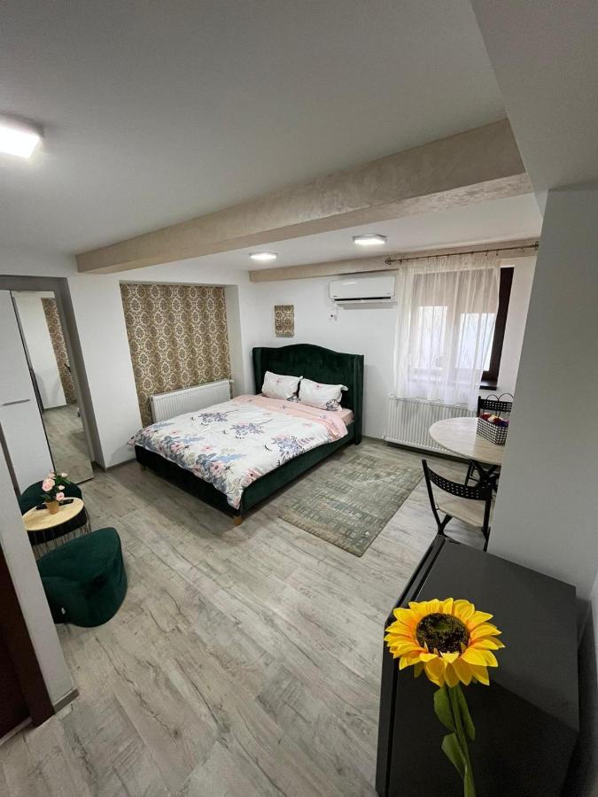 B&B Galați - Solaria Studio - Bed and Breakfast Galați