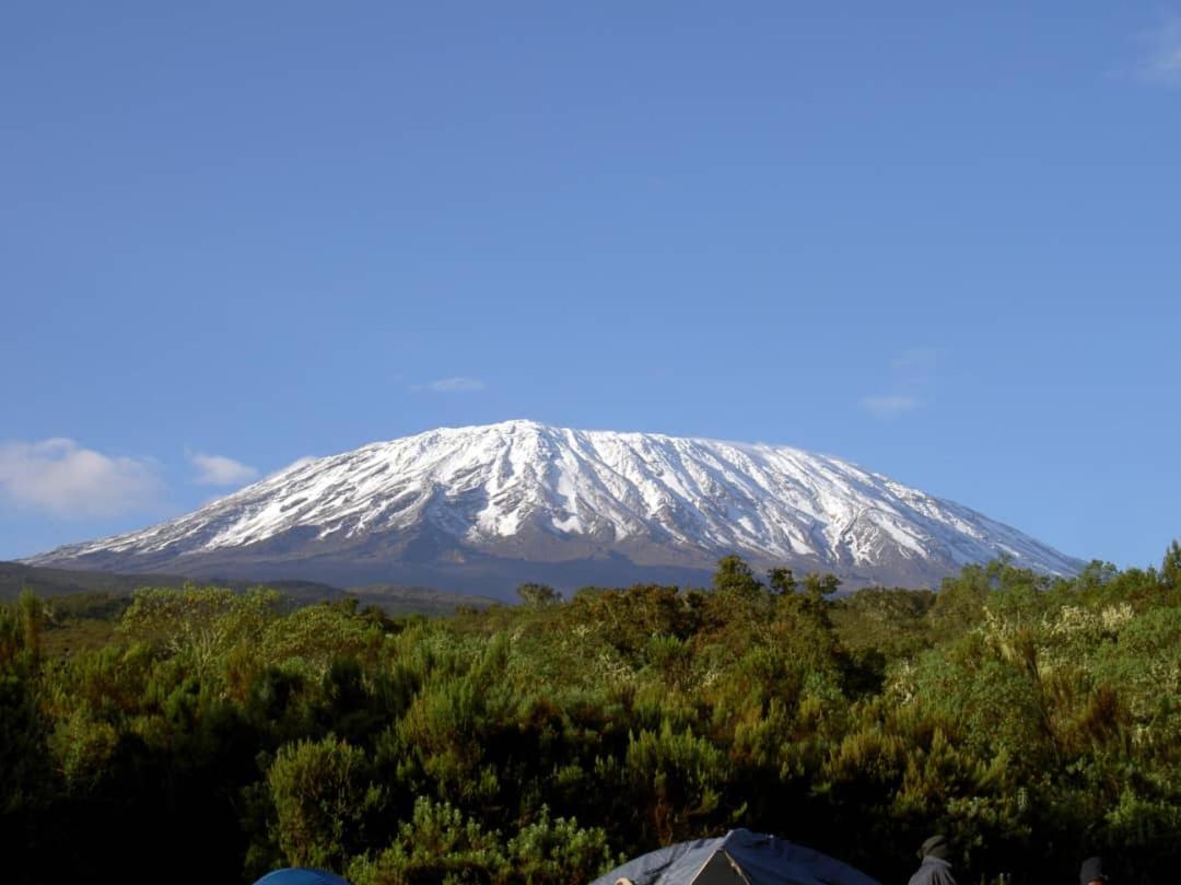 KILIMANJARO HOME OF RASON