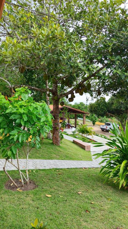 Pousada Chácara Pau - Brasil - Bed and Breakfast Lagoa Seca