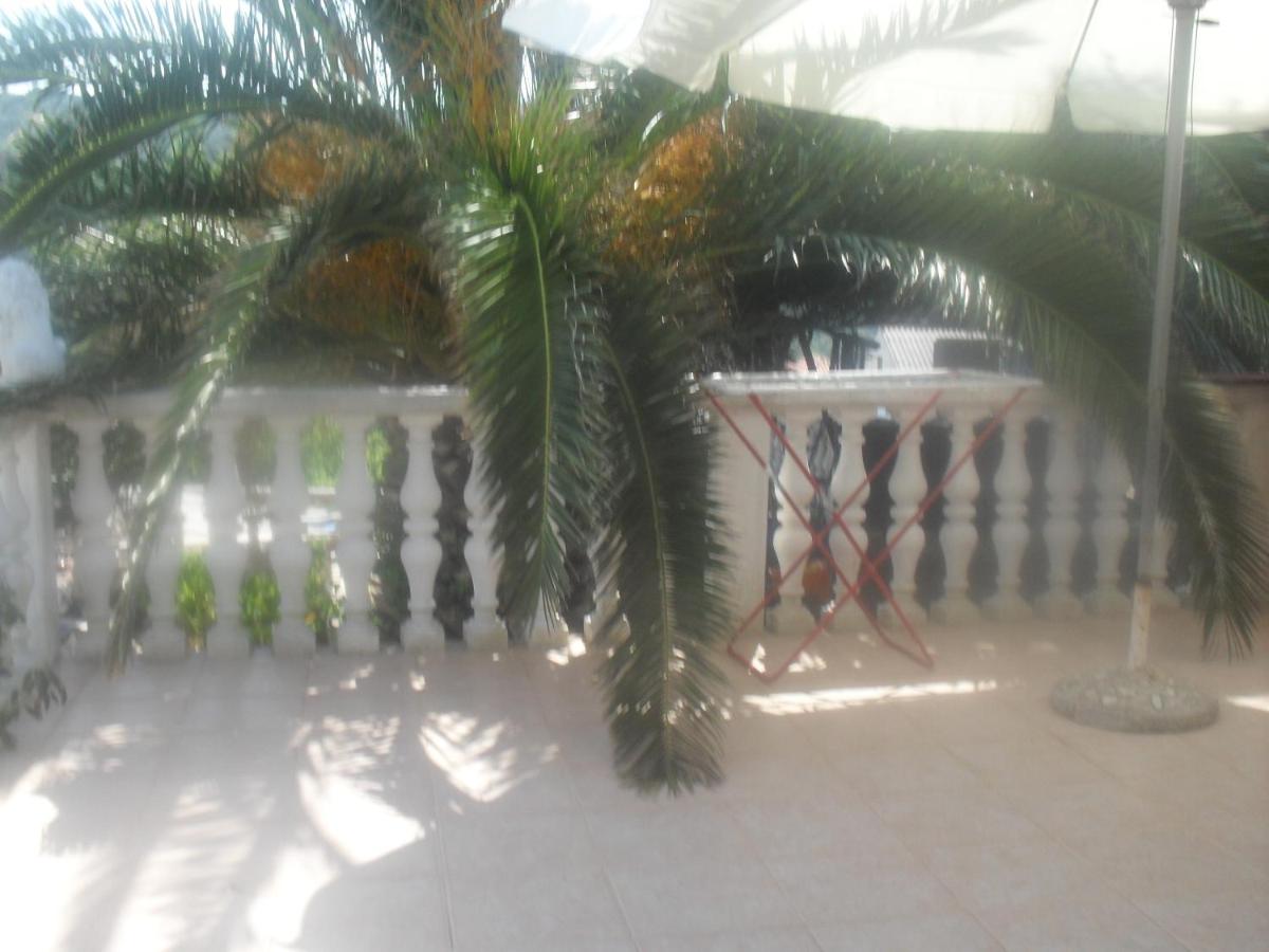 Apartments Ruža Dragove Dugi otok - B&B Dragove