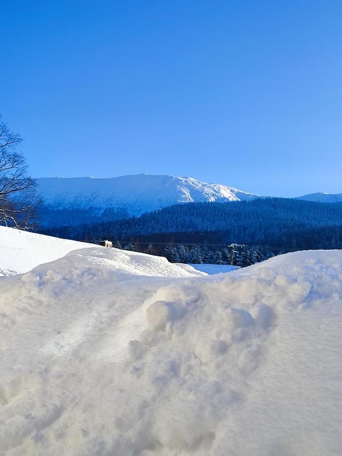 Słoneczna Chałupka - B&B Zawoja