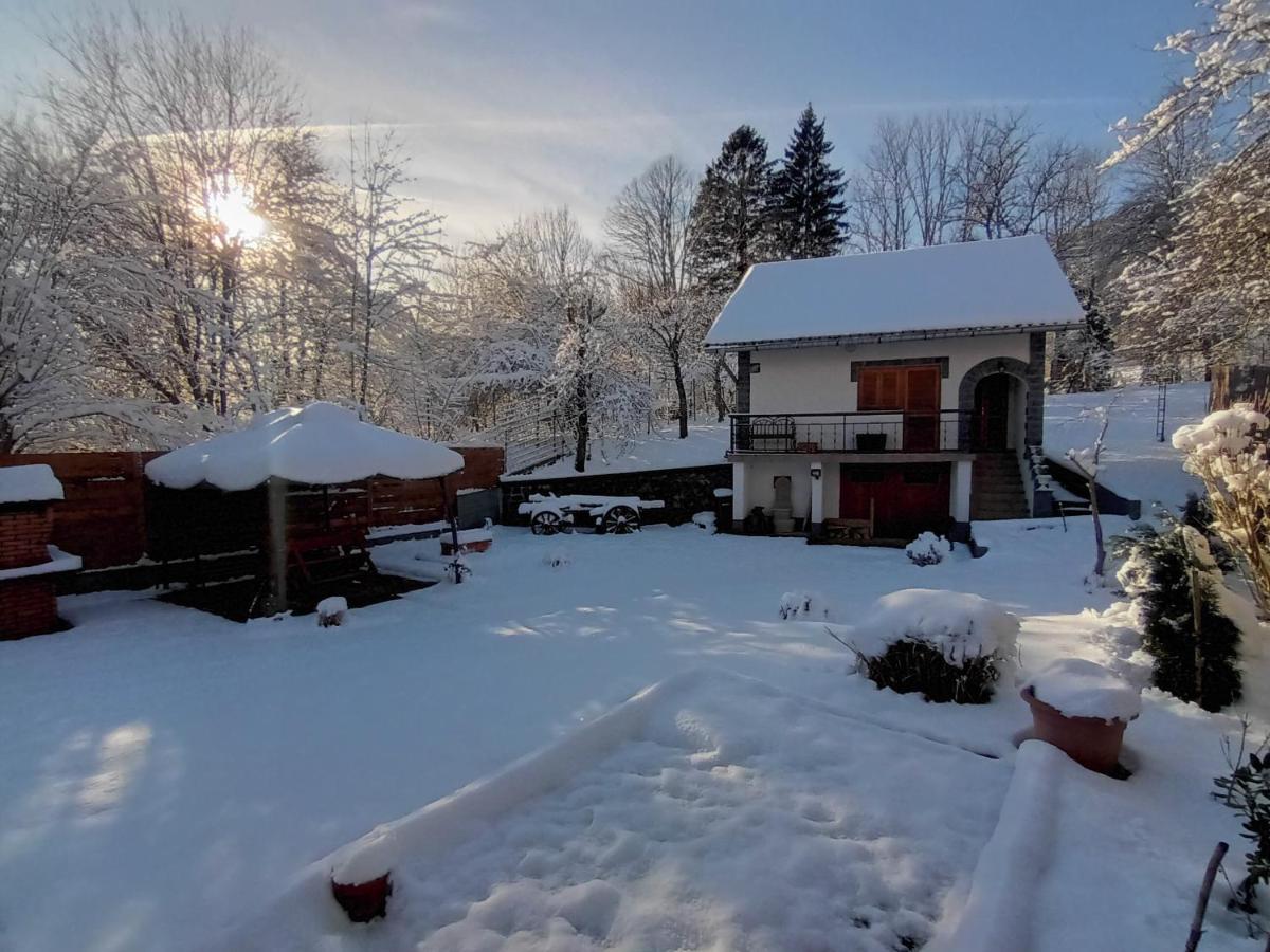 B&B Mala Lešnica - Kuća za odmor Denis - Bed and Breakfast Mala Lešnica