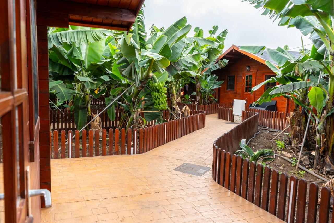 Cabañas Finca Las Vegas - B&B