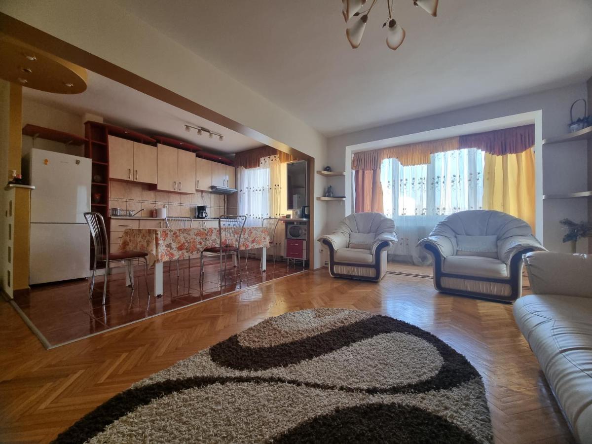 B&B Baia Mare - Nice & Relaxing Central Apartment - Bed and Breakfast Baia Mare