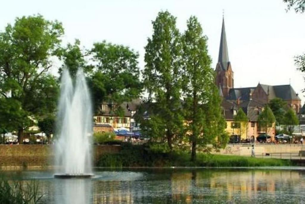 Apartment im Grünen zwischen Messe & Flughafen Köln! - Ferienwohnung Köln