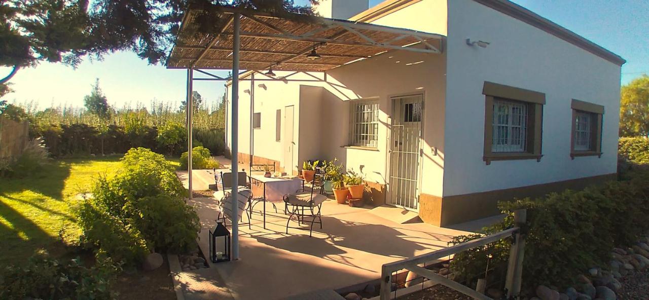 Boutique Vineyard and Wine Lodge - B&B