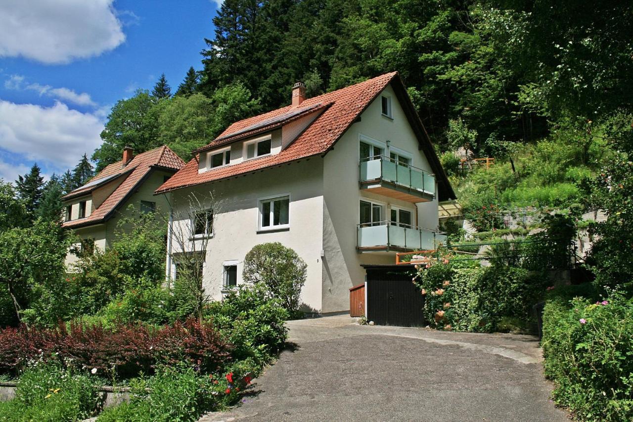 Haus am Waldrand - Ferienwohnung