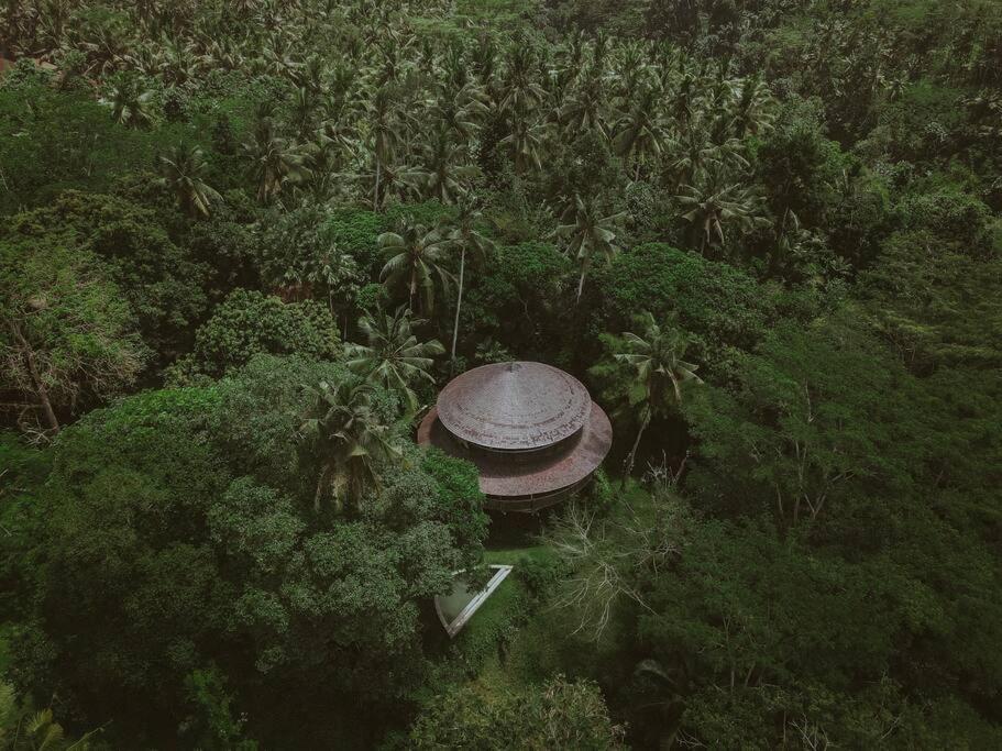 Jungle House Estate - B&B