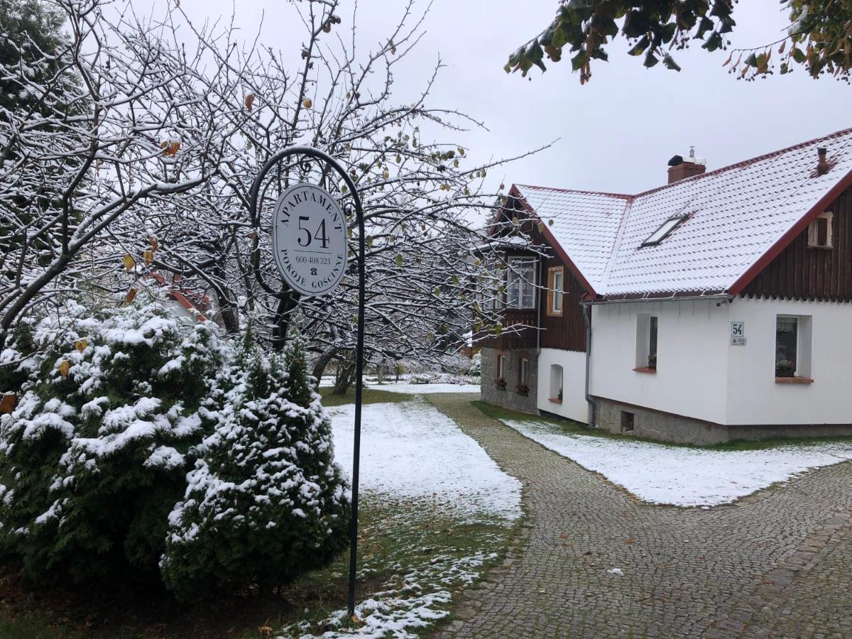 Apartamenty Gościnne 54 Szklarska Poręba - Chambres d'hôtes Szklarska Poręba