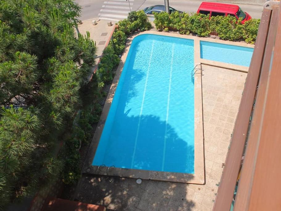 Apartment in front of the beach - Ferienwohnung