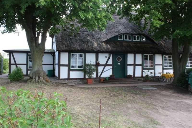 B&B Federow - Landhaus Damerow 1 - Bed and Breakfast Federow