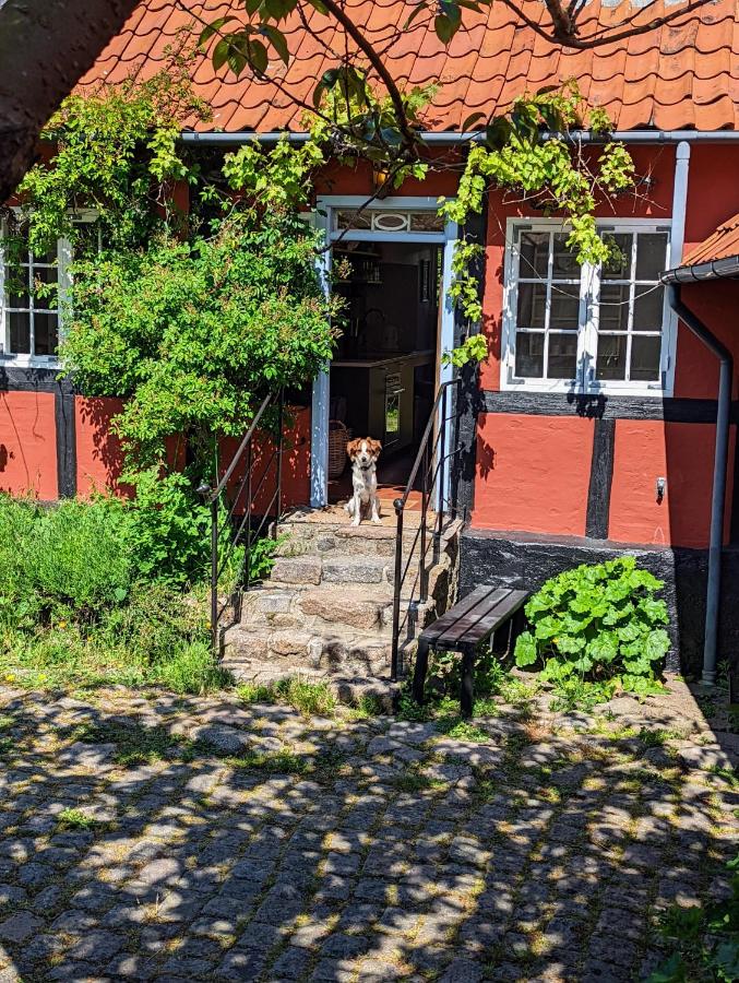 Pensionat Næsgaarden - B&B