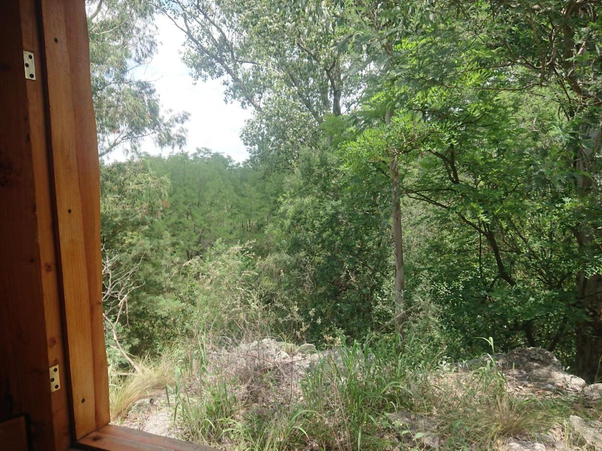 La Cabañita - B&B Tanti