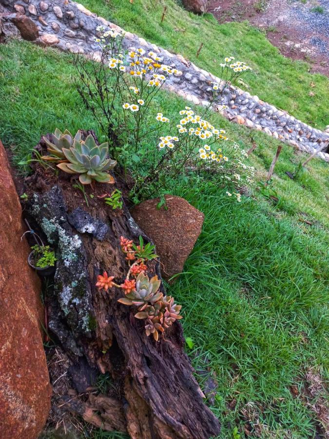 Chalet con 1 Camera da Letto