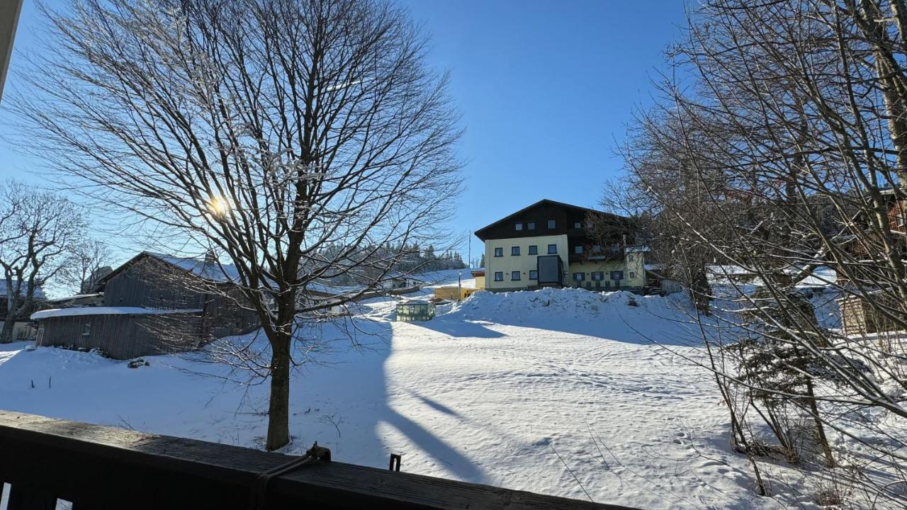 Apartment mit 1 Schlafzimmer