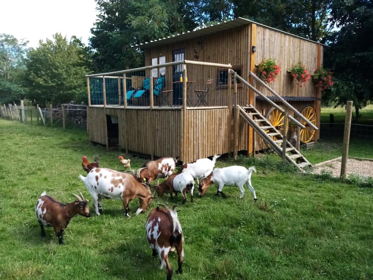 Le Cabanon - B&B