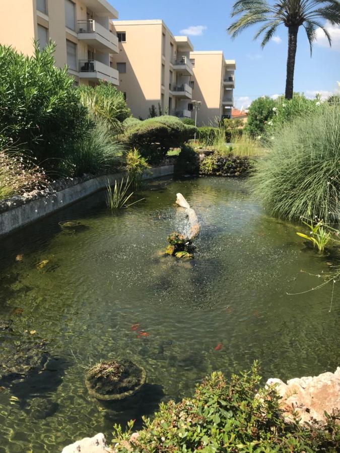 Studette Pointe Croisette - Axelle Loc'Appart - Chambres d’hôtes Cannes