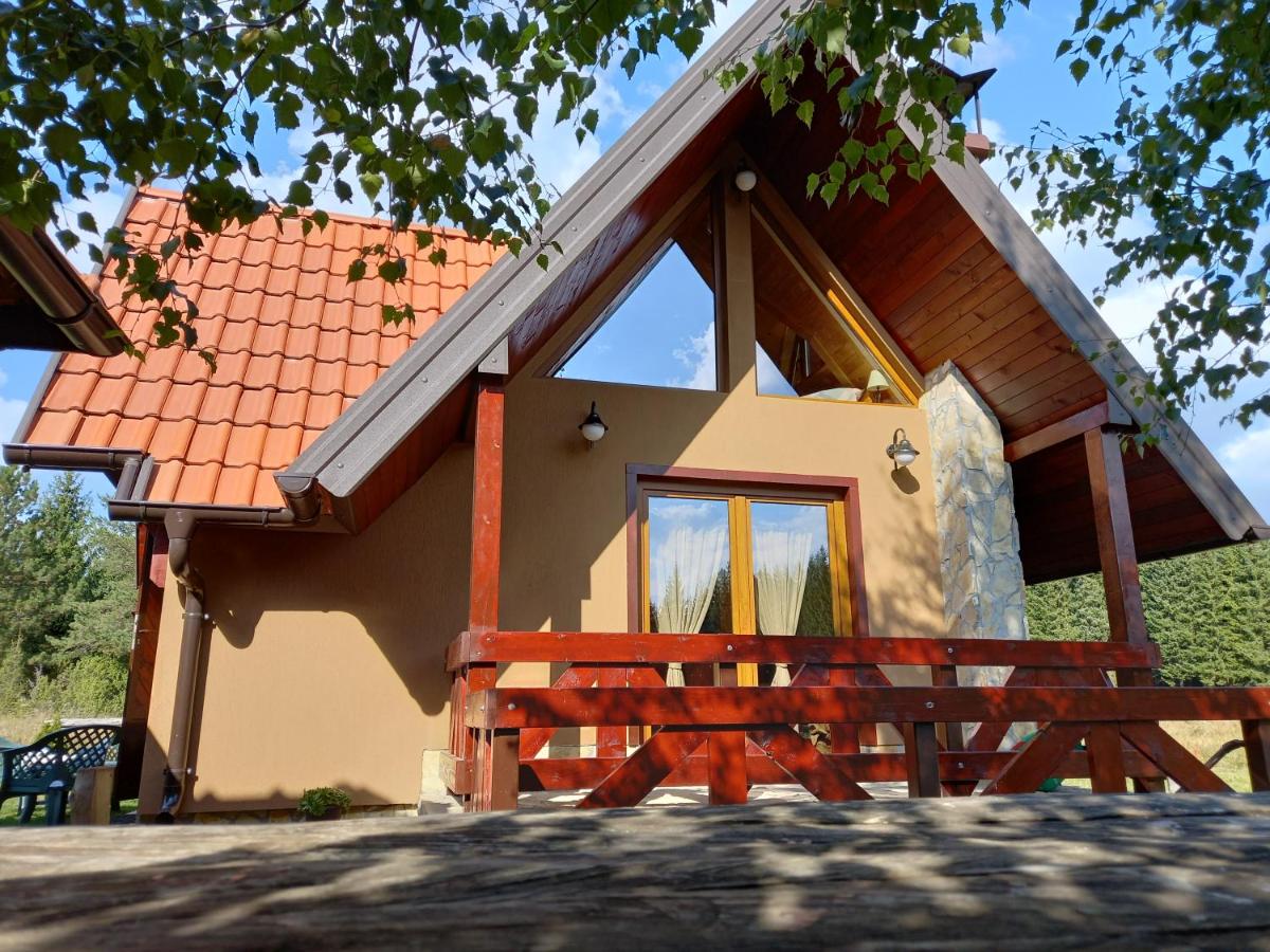 Mountain House Tadić 2 - B&B Bajina Bašta