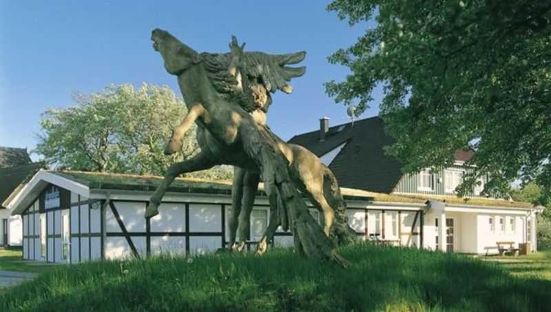 Gaestehaus _ Strandhalle - Bed and Breakfast Ostseebad Ahrenshoop