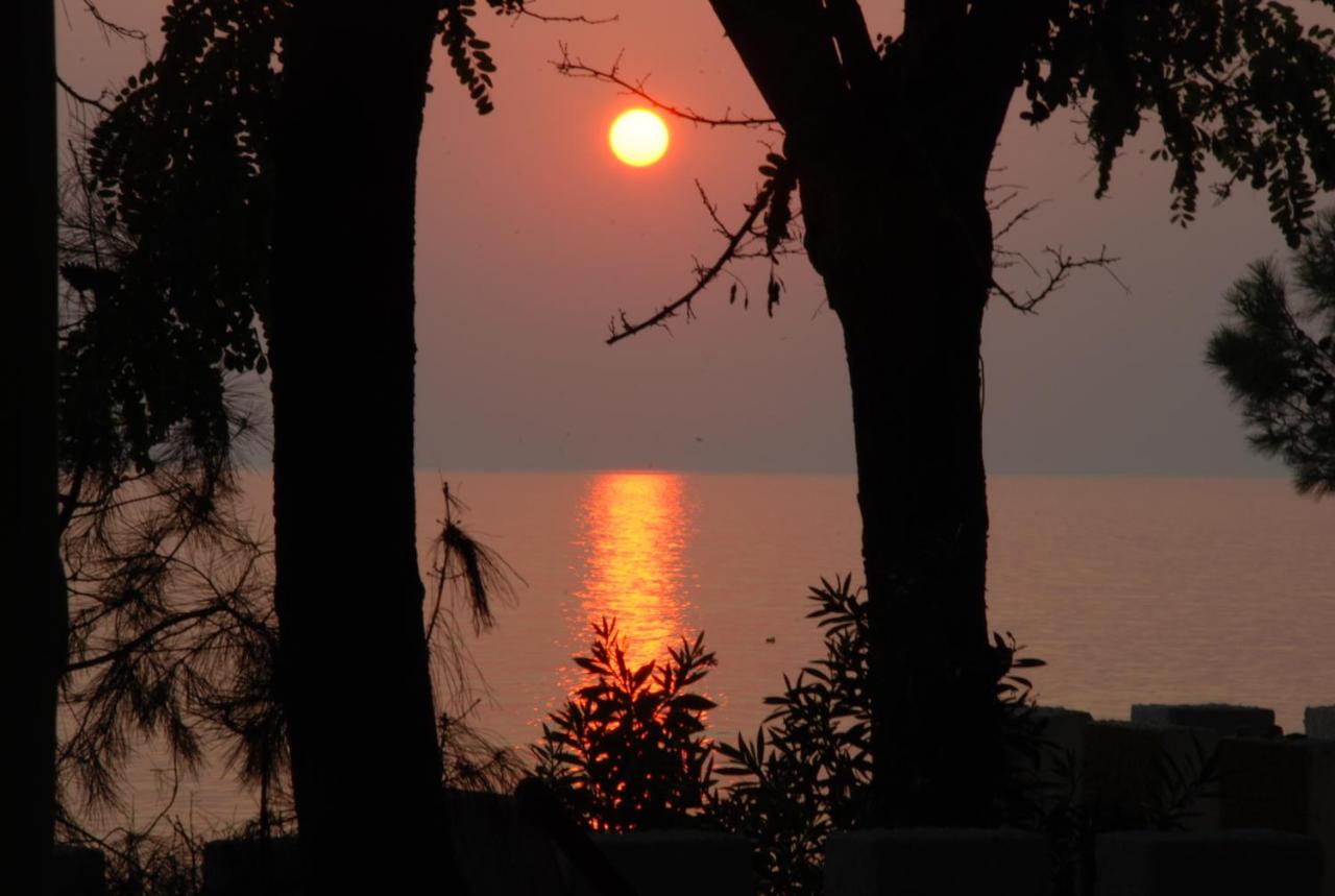 Ktima Papaoikonomou - Ferienwohnung Potos