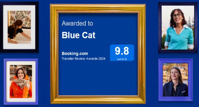 B&B Oradea - Blue Cat - Bed and Breakfast Oradea