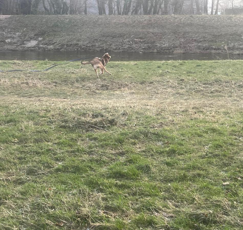 Mira - Ferienwohnung Gernsbach