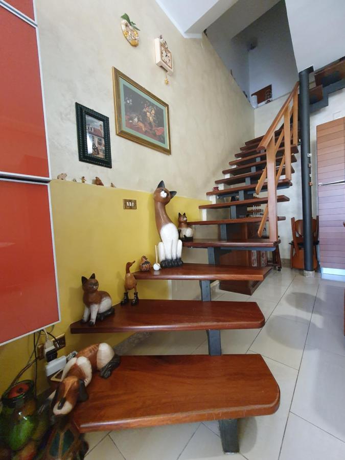 Appartamento Andromeda - B&B Potenza