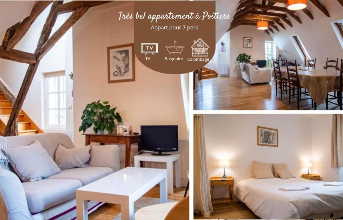B&B Poitiers - Très bel appartement à Poitiers - Bed and Breakfast Poitiers