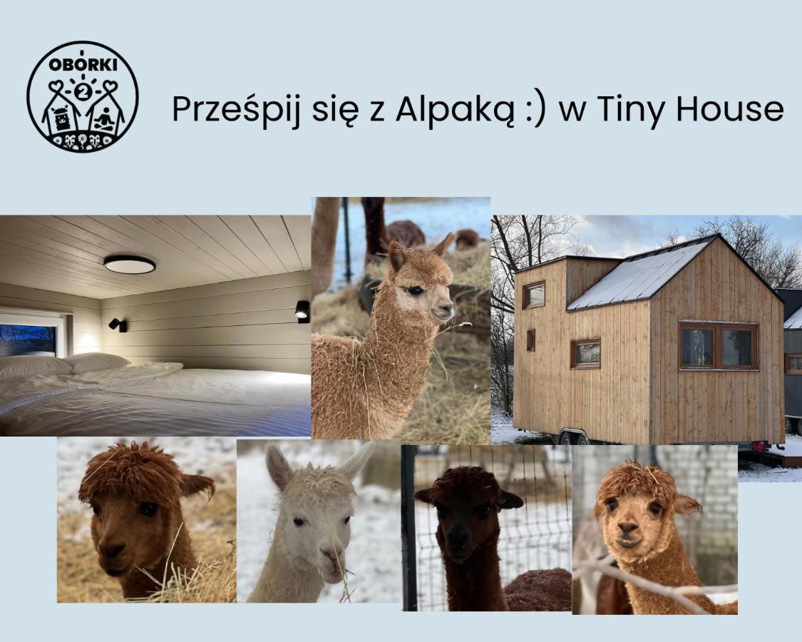 B&B Obórki - Prześpij się z Alpaką w Tiny House - Bed and Breakfast Obórki