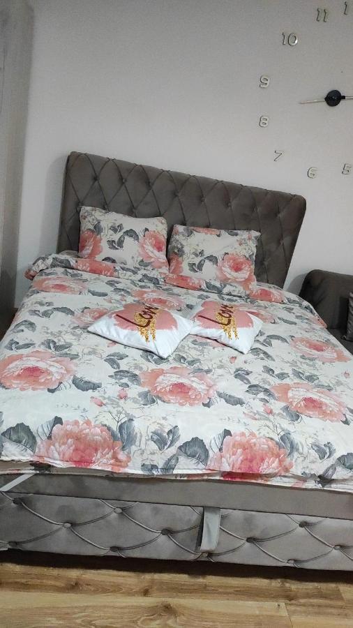 B&B Loznica - Stan na dan Loznica - Bed and Breakfast Loznica