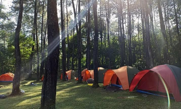 Wong Deso Camping - Ferienwohnung Seminyak