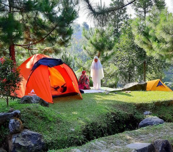 Wong Deso Camping - B&B Seminyak