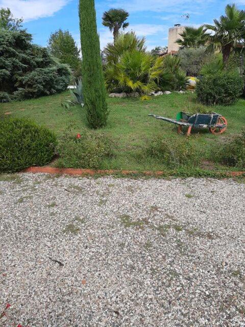 B&B Montauban - maison avec terrasse la roseraie - Bed and Breakfast Montauban