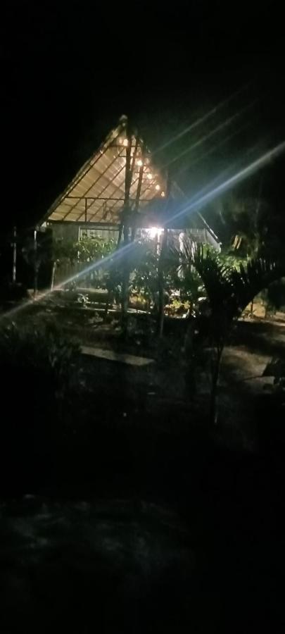 Kund estate cottage 2 - Bed and Breakfast Madikeri