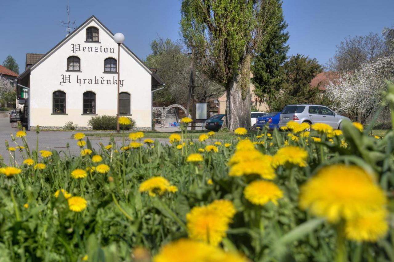Penzion U Hraběnky - Chambres d'hôtes Petrovice