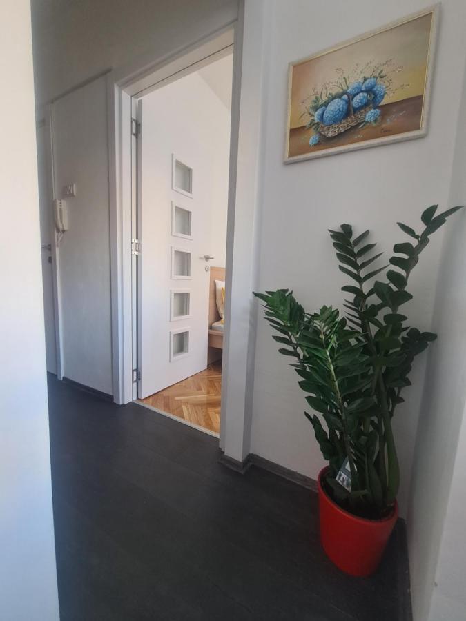 Apartman Zlatovo Stan Na Dan - B&B Požarevac