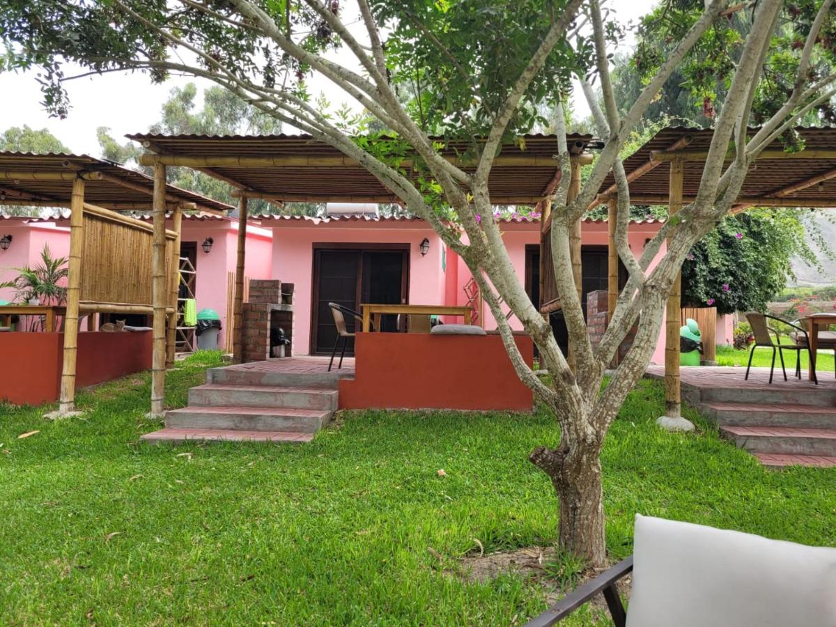 Bungalow with Garden View