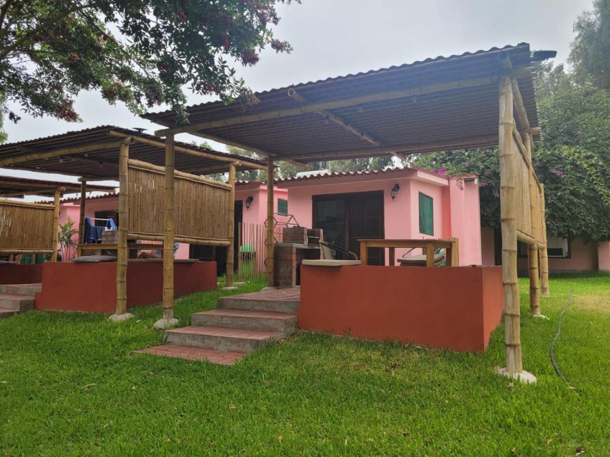 Bungalow with Garden View