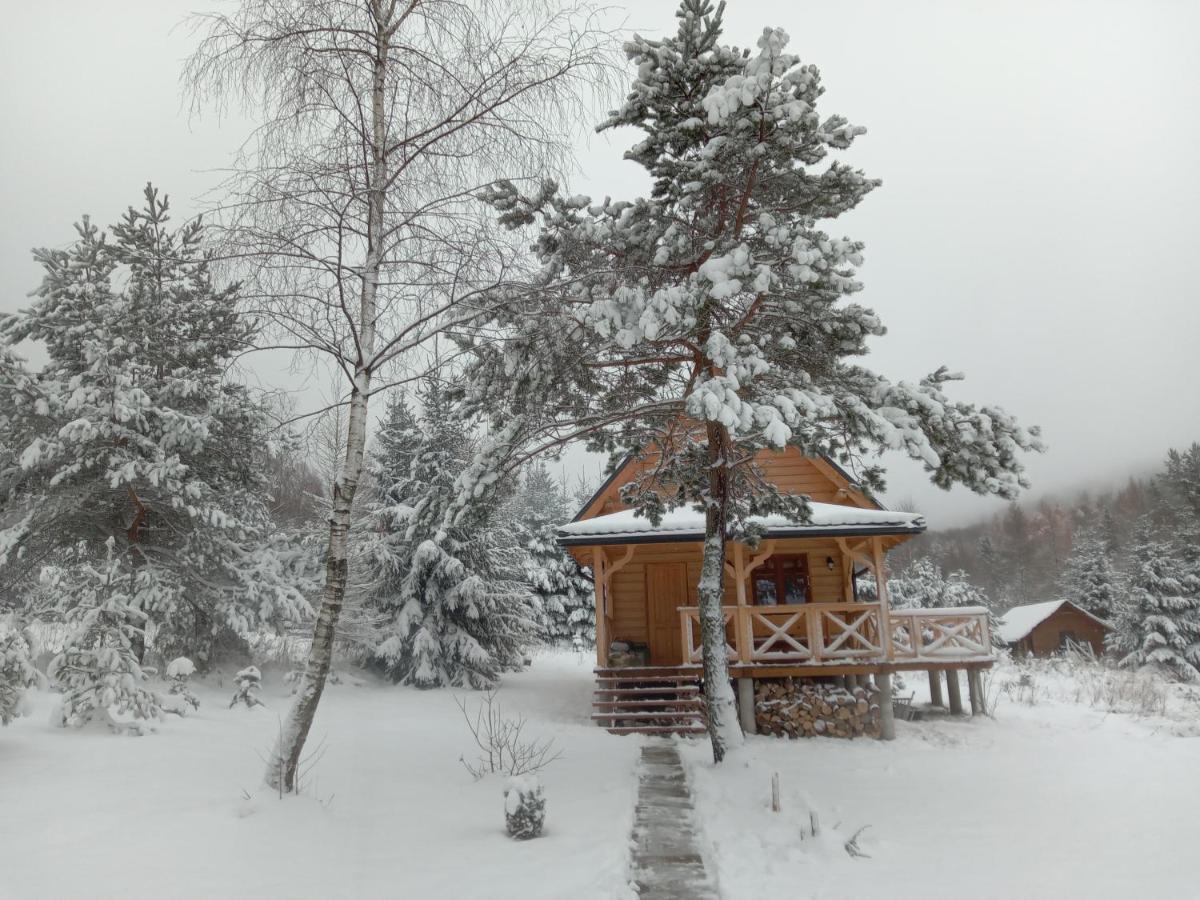 Markowa Chata - Chambres d’hôtes Cisna