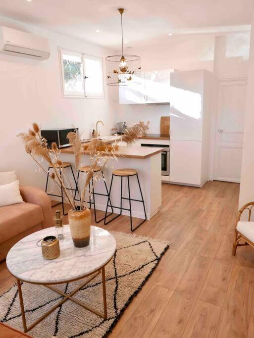 Chez Zize T2 unique- Roucas-Blanc - B&B Marseille